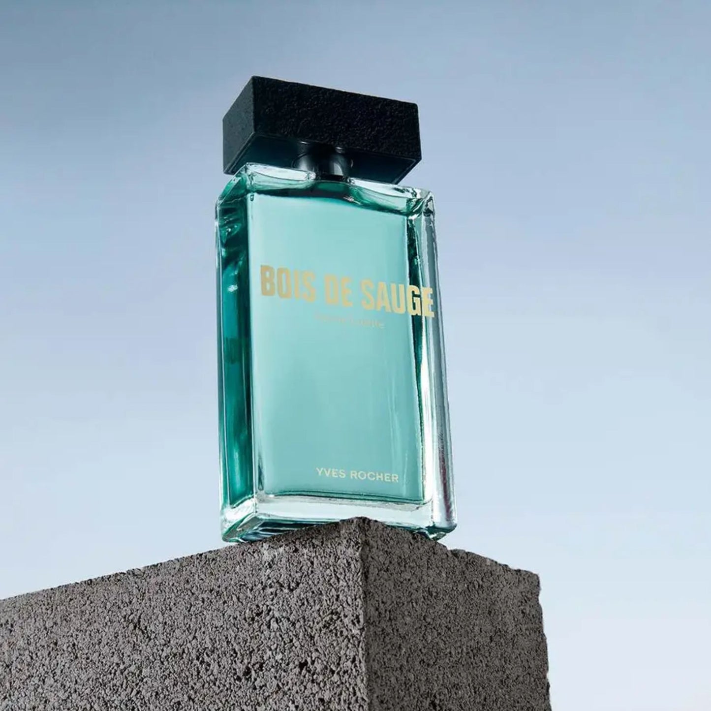 BOIS DE SAUGE vīriešu parfimēts gēls-šampūns, 200ml