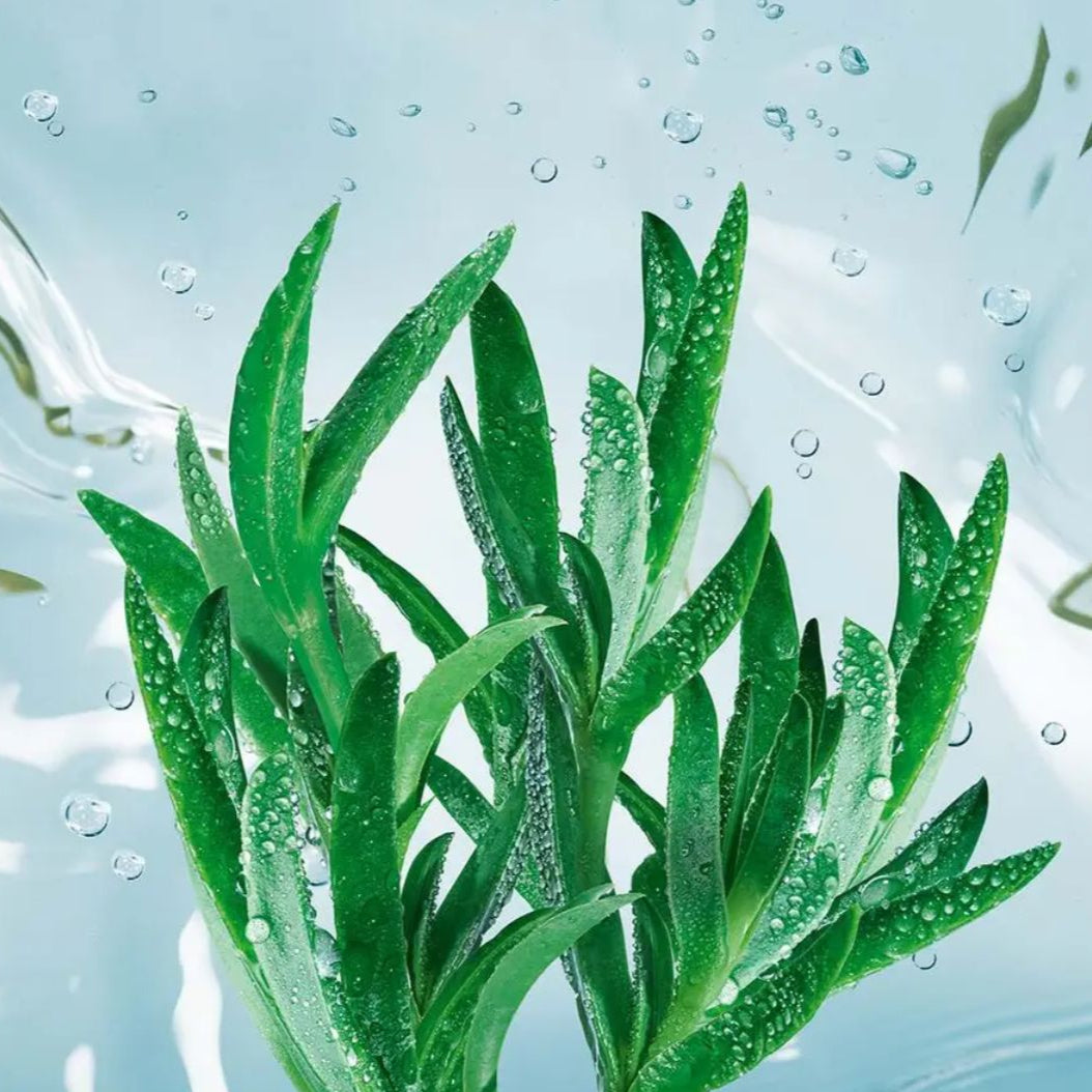 HYDRA VEGETAL SOS mitrinoša sejas maska, 75ml