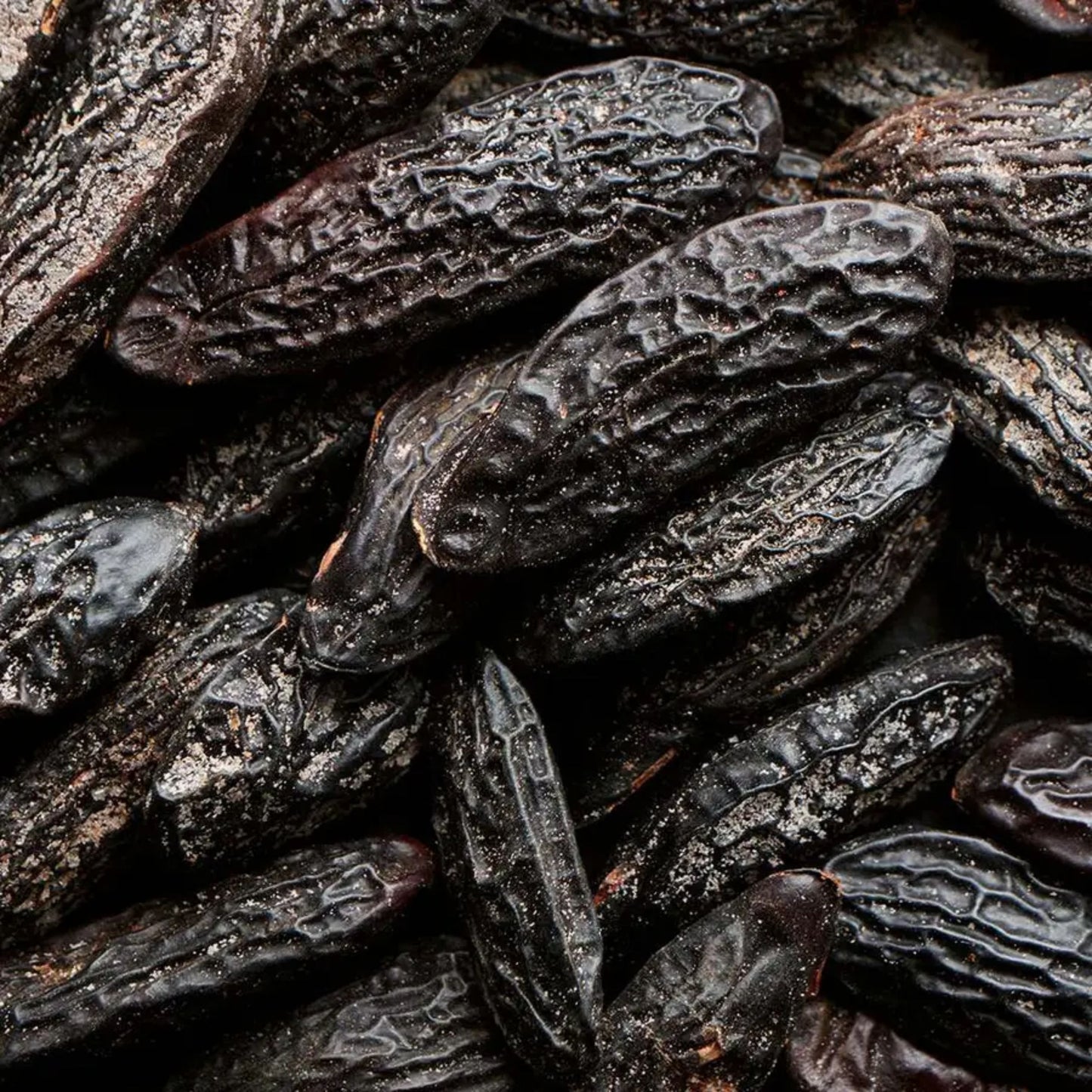 HOGGAR vīriešu tualetes ūdens, 100ml (EDT)