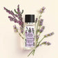 ESSENCES BOTANIQUES CALME ABSOLU parfimērijas ūdens EDP 50ml