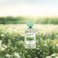 Tualetes ūdens EAU FRAÎCHE AÉRIENNE piparmētra un citrons, 100ml (EDT)