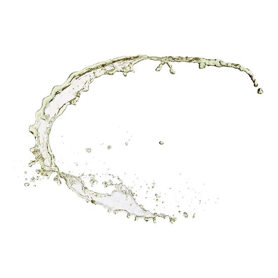 ANTI-POLUTION maigs etiķis matu attīrīšanai un atjaunošanai ar Moringa sēklu ekstraktu,150ml